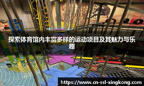 探索体育馆内丰富多样的运动项目及其魅力与乐趣